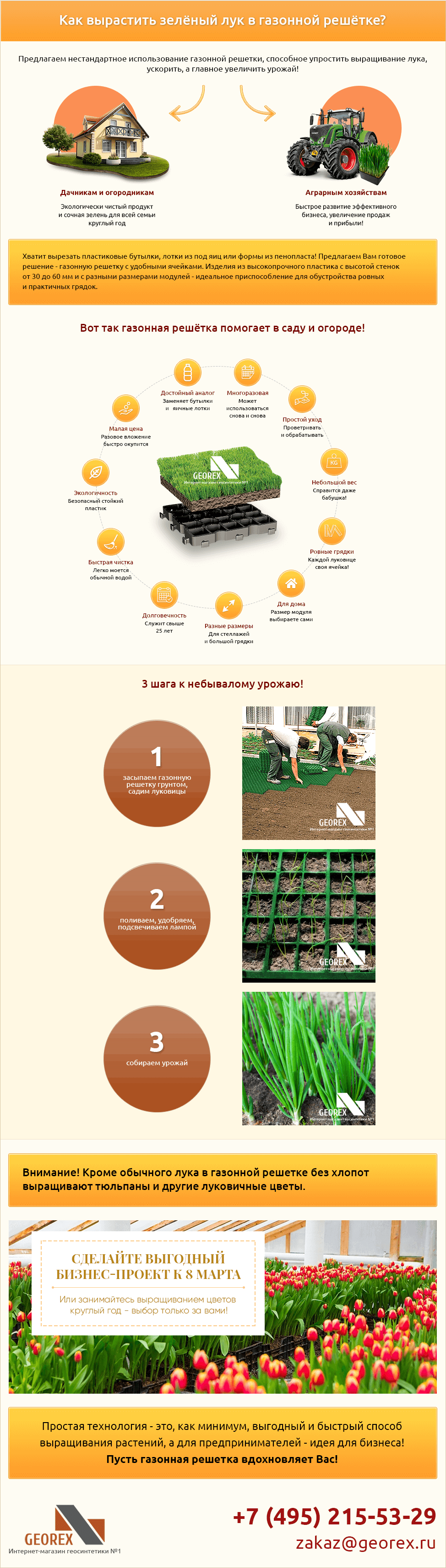 выращивание лука в газонной решетке. фото